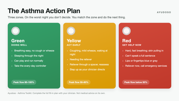 Asthma Action Plan, Fill-In Template (Free Download)